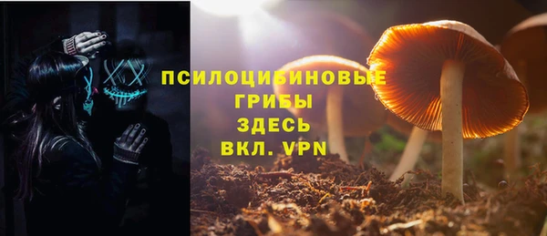 spice Алексеевка