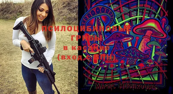 трава Алзамай