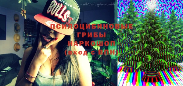 spice Алексеевка
